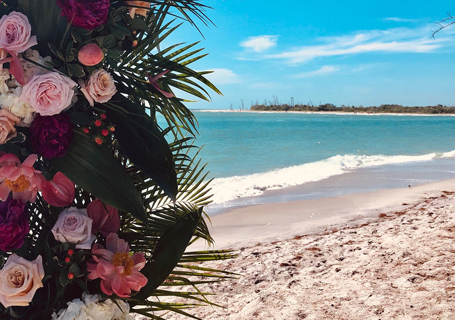Flowers on the beach
